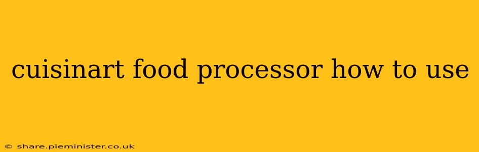 cuisinart food processor how to use