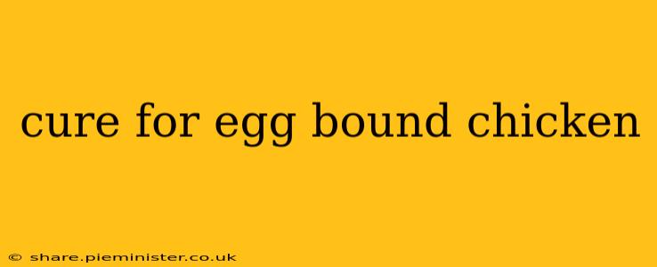cure for egg bound chicken