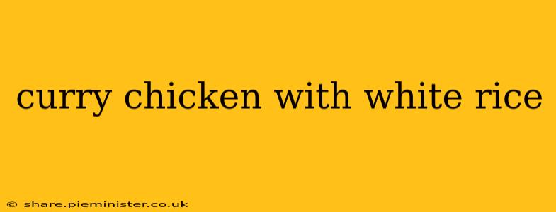 curry chicken with white rice