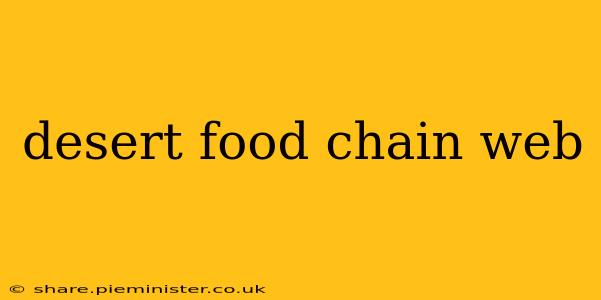 desert food chain web