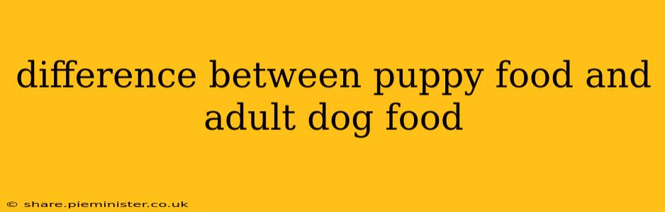 difference between puppy food and adult dog food