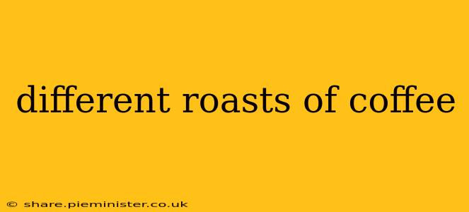 different roasts of coffee
