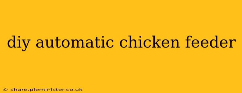 diy automatic chicken feeder