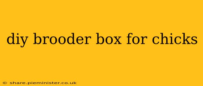 diy brooder box for chicks
