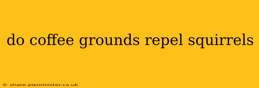 do coffee grounds repel squirrels