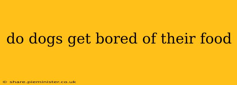 do dogs get bored of their food