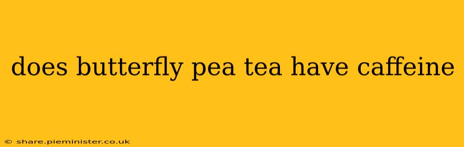 does butterfly pea tea have caffeine