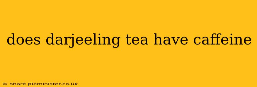 does darjeeling tea have caffeine