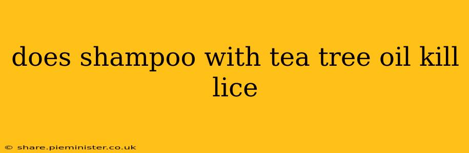 does shampoo with tea tree oil kill lice