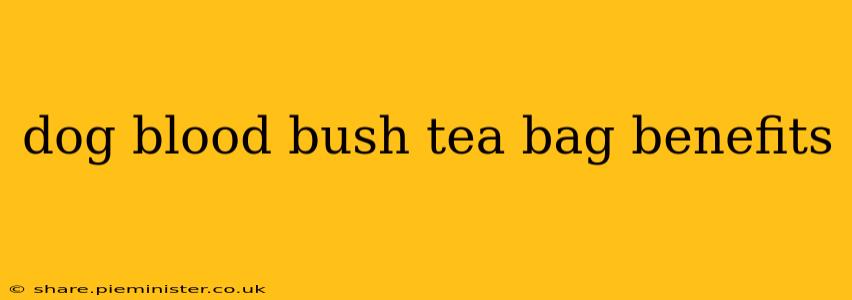 dog blood bush tea bag benefits