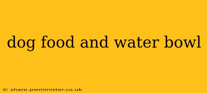 dog food and water bowl