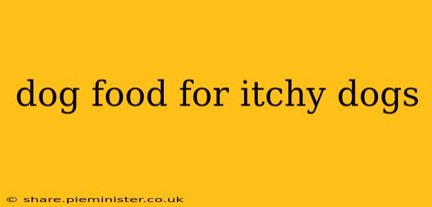 dog food for itchy dogs