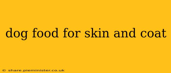 dog food for skin and coat