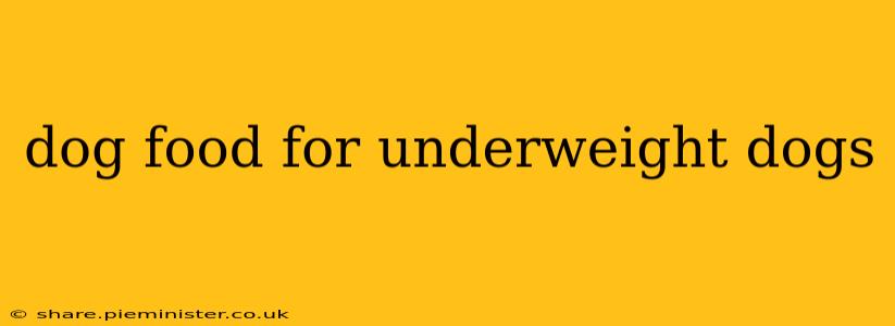 dog food for underweight dogs