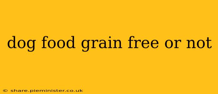 dog food grain free or not
