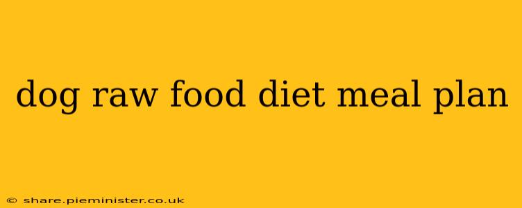 dog raw food diet meal plan