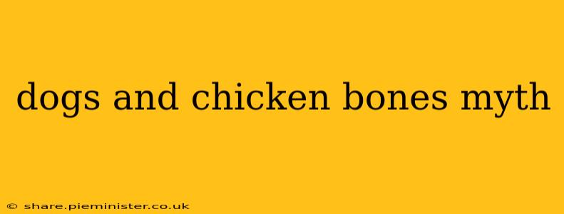 dogs and chicken bones myth