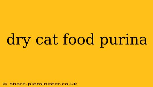 dry cat food purina