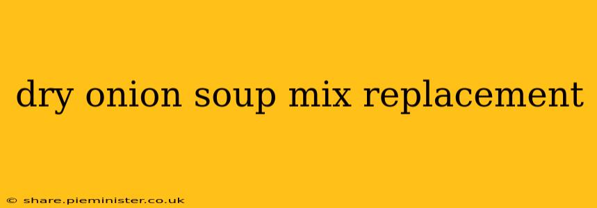 dry onion soup mix replacement