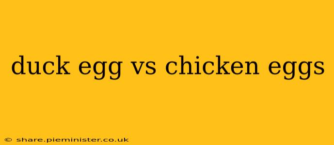 duck egg vs chicken eggs
