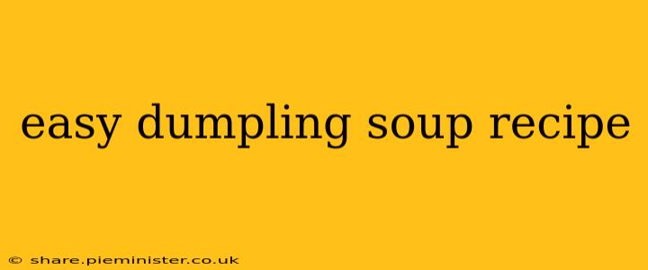 easy dumpling soup recipe