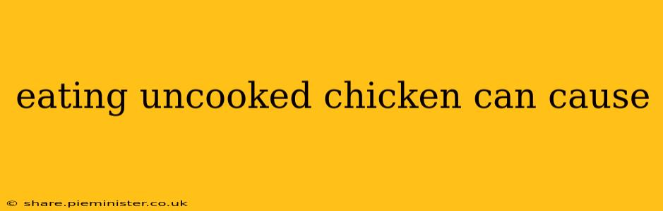 eating uncooked chicken can cause