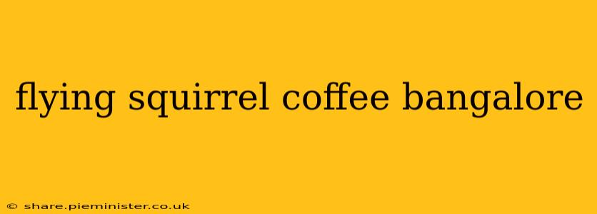flying squirrel coffee bangalore
