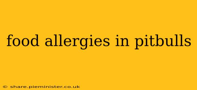 food allergies in pitbulls