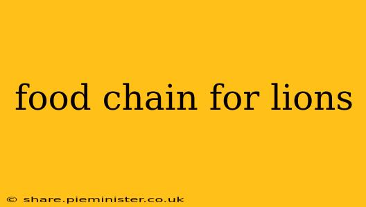 food chain for lions