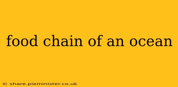 food chain of an ocean