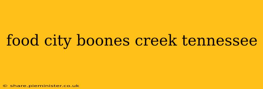 food city boones creek tennessee