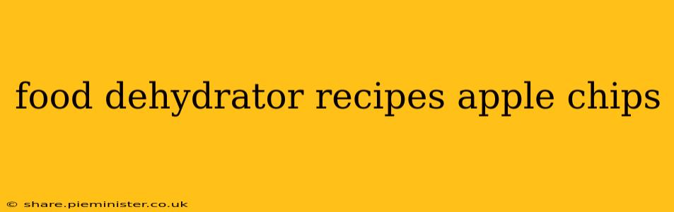 food dehydrator recipes apple chips