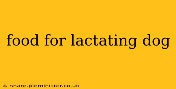 food for lactating dog