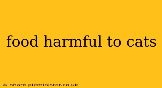 food harmful to cats