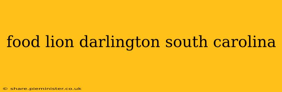 food lion darlington south carolina