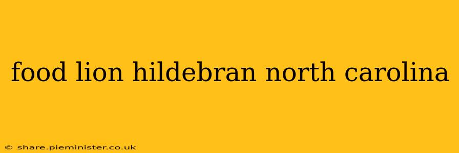food lion hildebran north carolina