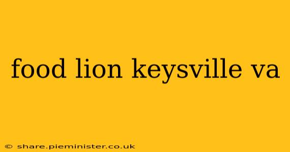 food lion keysville va