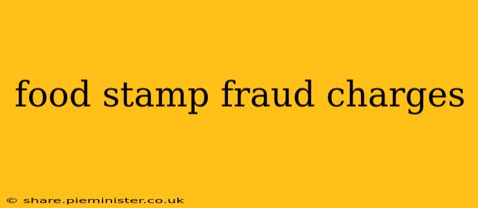 food stamp fraud charges