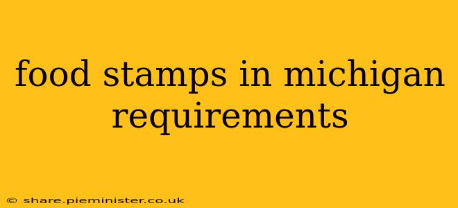 food stamps in michigan requirements