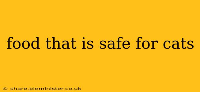 food that is safe for cats
