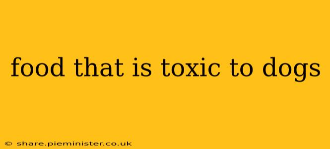 food that is toxic to dogs
