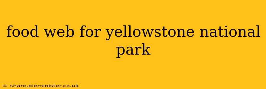food web for yellowstone national park