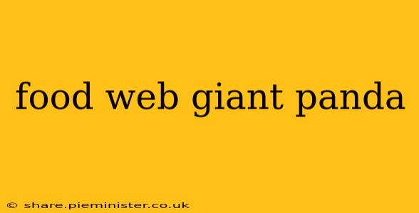 food web giant panda