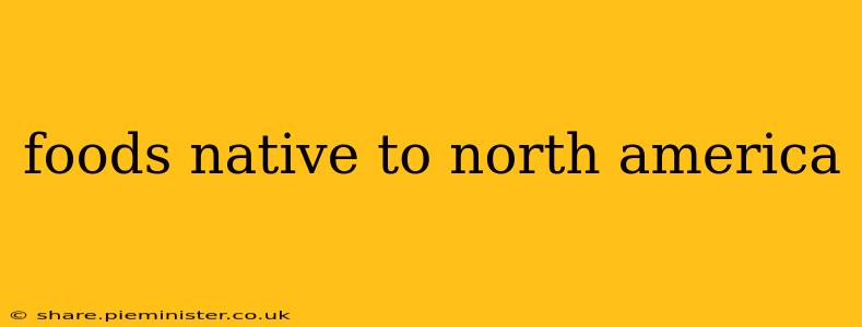 foods native to north america
