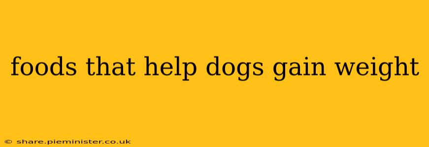 foods that help dogs gain weight
