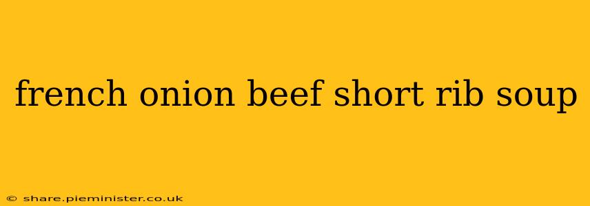 french onion beef short rib soup
