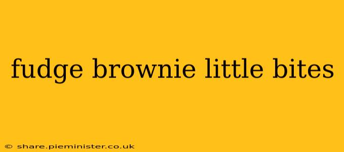 fudge brownie little bites
