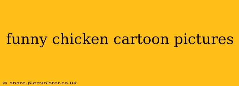funny chicken cartoon pictures