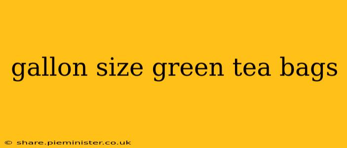 gallon size green tea bags