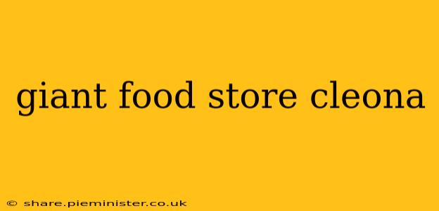 giant food store cleona